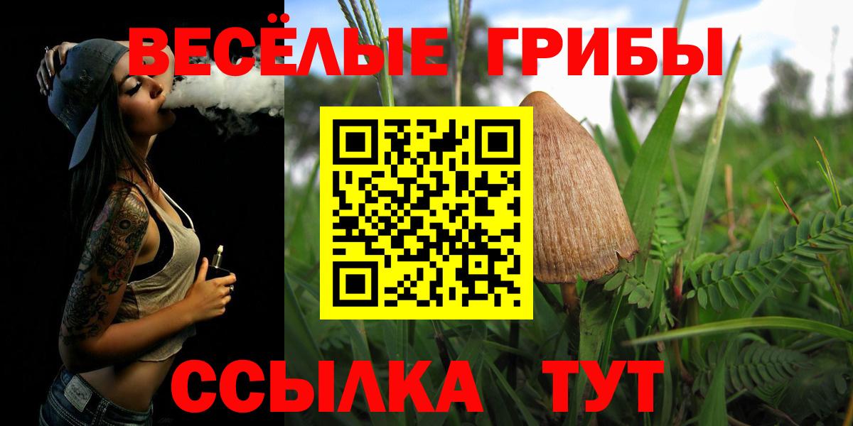 Галлюциногенные грибы прущие грибы  Галлюциногенные грибы мицелий  Вход с VPN  Тобольск 